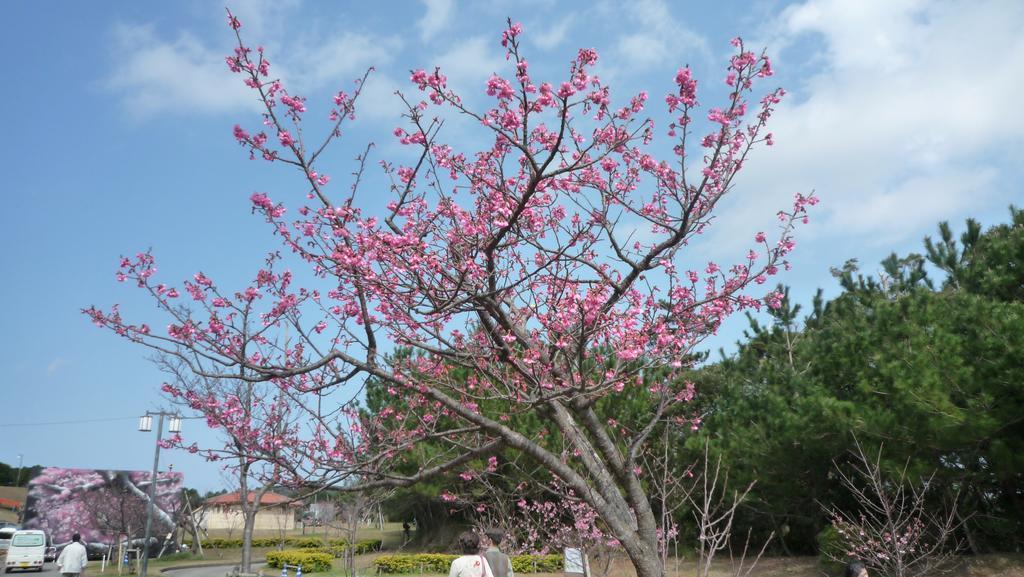 Ayano Sou Hotel Nago Esterno foto